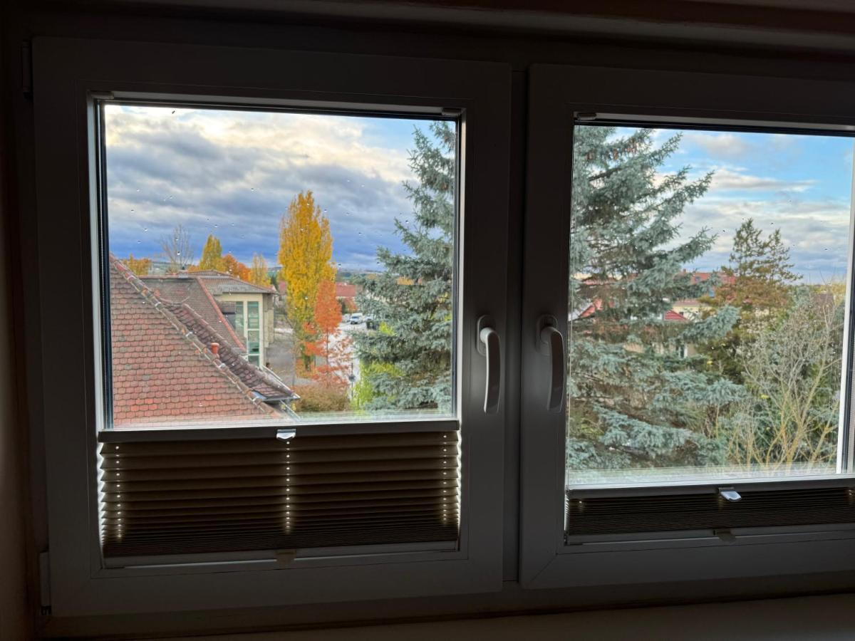 205 Qm "Traumtor" Mit Sauna, Whirlpool, Kamin Und 3 Terrassen Mit Blick In Die Boehmisch Saechsische Schweiz Dresden Ngoại thất bức ảnh